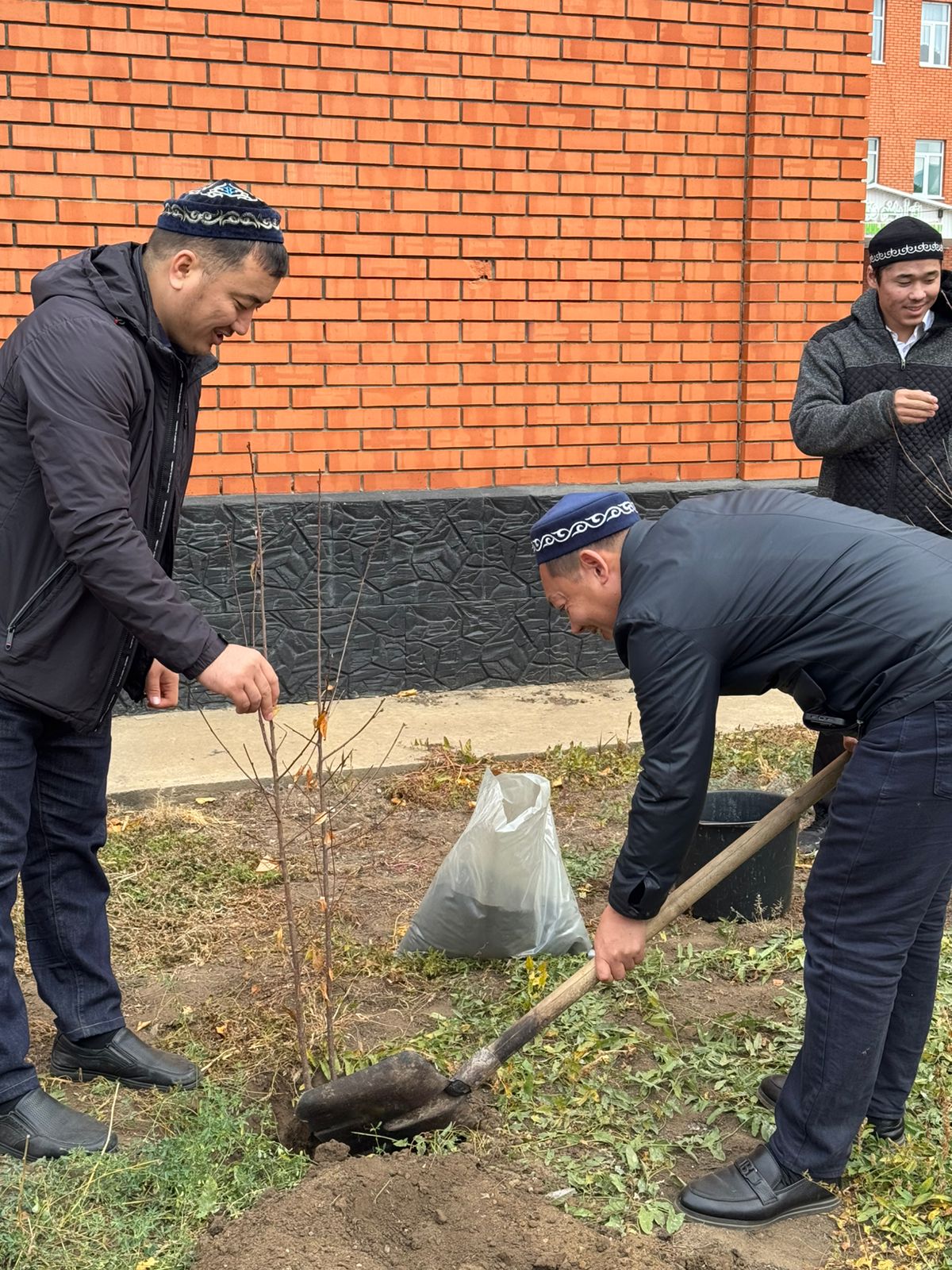 Изображение WhatsApp 2025-10-29 в 22.08.27_4bb563ac.jpg