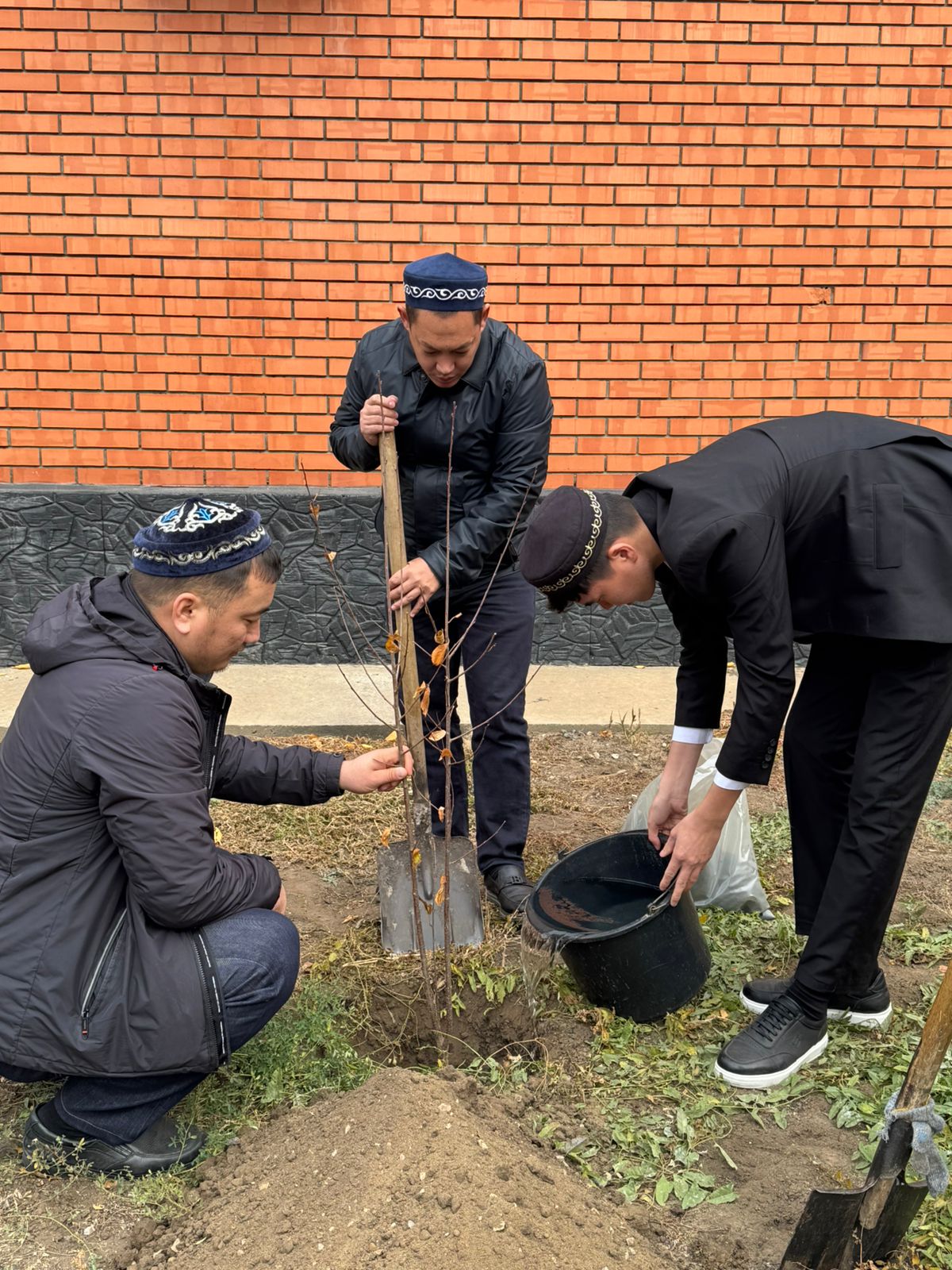 Изображение WhatsApp 2025-10-29 в 22.08.27_8e35ec9b.jpg