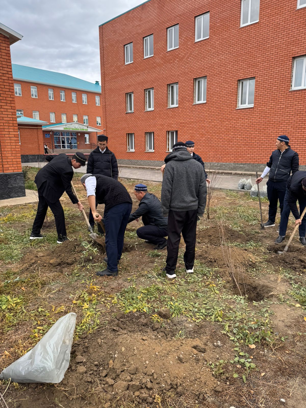 Изображение WhatsApp 2025-10-29 в 22.08.27_9cc1ffa4.jpg