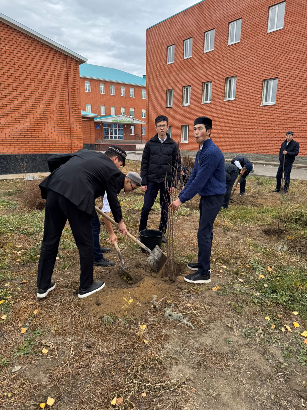 Изображение WhatsApp 2025-10-29 в 22.08.28_c4253670.jpg